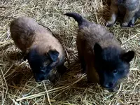 processed/2aab1a24-4a53-4bd8-bbc5-9d0e02a0b4ee/listing/be73d6d0-87ab-4c8e-8130-2f56bde38e76/fc66618e-e4ba-4ac3-9695-a4b9c91afc1b