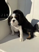 processed/2abb63cd-068b-4924-8408-57e69e38c791/listing/0847f1b0-eaf4-4953-8124-9f3f1d0cb86e/c3aaf7b8-9dad-41f4-94c8-715f76a97bb6