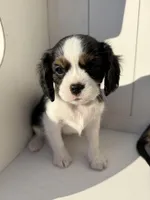 processed/2abb63cd-068b-4924-8408-57e69e38c791/listing/0847f1b0-eaf4-4953-8124-9f3f1d0cb86e/d3aa6d24-505a-488c-aeab-d8bf5ffbb474