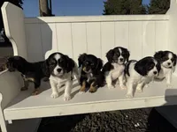 processed/2abb63cd-068b-4924-8408-57e69e38c791/listing/ade0761f-4b16-4d9e-851d-d84c56b0eeca/9cd2c12d-5a9d-4075-9a67-0124f7ceb84e