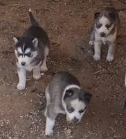 processed/2ac4a2f4-84c7-4c45-82d0-11c2e2063743/facility/40e01c8d-966c-48b5-a01b-39fedf1f8c8a