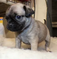 processed/2ac4a2f4-84c7-4c45-82d0-11c2e2063743/facility/42cf177d-b9a6-458f-9d51-d22e9fef56a1