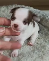 processed/2ac4a2f4-84c7-4c45-82d0-11c2e2063743/facility/5095c675-fe67-4521-90bb-75cbee2223c2