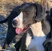 processed/2ac4a2f4-84c7-4c45-82d0-11c2e2063743/facility/c50dc8da-13d0-4ae7-b884-f53694aa26c7