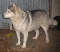 processed/2ac4a2f4-84c7-4c45-82d0-11c2e2063743/facility/cdcb4a80-f58e-420f-be01-0ee67524ec7a