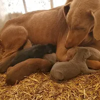 processed/2ac4a2f4-84c7-4c45-82d0-11c2e2063743/facility/e99ea29f-7614-475a-aaac-60b2188b73bb