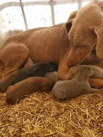 processed/2ac4a2f4-84c7-4c45-82d0-11c2e2063743/facility/e99ea29f-7614-475a-aaac-60b2188b73bb