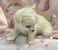 processed/2ac4a2f4-84c7-4c45-82d0-11c2e2063743/listing/55e41141-ce2a-441e-a351-5fd380142d3b/1185e5cd-0997-426d-a20e-96656cff726e