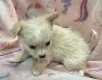 processed/2ac4a2f4-84c7-4c45-82d0-11c2e2063743/listing/55e41141-ce2a-441e-a351-5fd380142d3b/1d536382-f4f5-4d6b-8dd6-93fe26ccf6a3