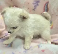 processed/2ac4a2f4-84c7-4c45-82d0-11c2e2063743/listing/55e41141-ce2a-441e-a351-5fd380142d3b/5c58e8ae-5721-422f-9c8f-832e16e2b1f0