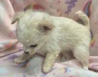 processed/2ac4a2f4-84c7-4c45-82d0-11c2e2063743/listing/55e41141-ce2a-441e-a351-5fd380142d3b/96203e89-7d87-4a11-8c95-1a9d7616f961