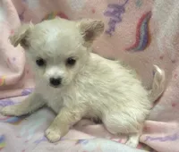 processed/2ac4a2f4-84c7-4c45-82d0-11c2e2063743/listing/55e41141-ce2a-441e-a351-5fd380142d3b/c1225b85-5d68-43f8-bb09-ba8516d1119e