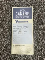 Alpha, a male Siberian Husky for sale in Mishawaka, IN – Photo 4 of 4