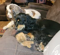 processed/2accc9f1-3f76-4ea9-9656-137a5c60de26/facility/470ef436-dcbb-44cc-98c1-9aef1ef8efd1