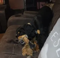 processed/2accc9f1-3f76-4ea9-9656-137a5c60de26/facility/4e93b737-47af-4a1a-aba0-6bcae72128aa