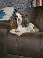 processed/2accc9f1-3f76-4ea9-9656-137a5c60de26/facility/4f47b558-64e9-4351-a858-204a402bd11b