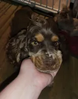 processed/2accc9f1-3f76-4ea9-9656-137a5c60de26/facility/798a54fb-b0c8-43fd-a2e5-eadf96b45c25