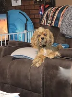 processed/2accc9f1-3f76-4ea9-9656-137a5c60de26/facility/d03eb23a-1928-4f12-88a2-d0fdd92eea74