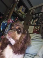 processed/2accc9f1-3f76-4ea9-9656-137a5c60de26/facility/d3d1aab3-65a9-4579-9e4e-cfe733ecde79