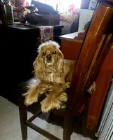 processed/2accc9f1-3f76-4ea9-9656-137a5c60de26/listing/74c56cca-252d-48c8-8593-daad4a570b20/31928247-fa16-4721-8c0a-287500ef7f4d