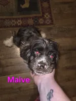 processed/2accc9f1-3f76-4ea9-9656-137a5c60de26/listing/74c56cca-252d-48c8-8593-daad4a570b20/3b4ecbb2-20f4-487d-9440-cee4272f52be