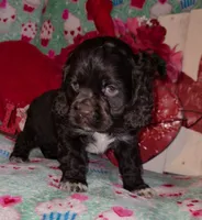 processed/2accc9f1-3f76-4ea9-9656-137a5c60de26/listing/74c56cca-252d-48c8-8593-daad4a570b20/4998e5b5-f079-4e7b-8fe7-e95e0b366455