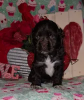 processed/2accc9f1-3f76-4ea9-9656-137a5c60de26/listing/74c56cca-252d-48c8-8593-daad4a570b20/7dad41c8-78b7-412d-9710-b0b7a13911dd