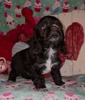 processed/2accc9f1-3f76-4ea9-9656-137a5c60de26/listing/74c56cca-252d-48c8-8593-daad4a570b20/8f41f3db-8956-4c44-9fcb-ca9c81cc33aa