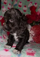 processed/2accc9f1-3f76-4ea9-9656-137a5c60de26/listing/74c56cca-252d-48c8-8593-daad4a570b20/ef4fd211-14db-4b71-8c36-d9dee8273f56