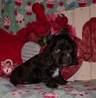 processed/2accc9f1-3f76-4ea9-9656-137a5c60de26/listing/74c56cca-252d-48c8-8593-daad4a570b20/efbc45bd-fd7d-494c-af89-468b7a3711a9