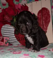 processed/2accc9f1-3f76-4ea9-9656-137a5c60de26/listing/74c56cca-252d-48c8-8593-daad4a570b20/f1edd046-79fa-41ae-a6f8-40ac854fdd7b