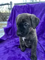 processed/2ad38cdb-4ebf-49ae-a91b-8cb7b95ef91a/listing/47e73c84-ef76-4101-9e22-802186f0d186/3f2b447e-fcdd-4c21-a0d7-753b536d7244