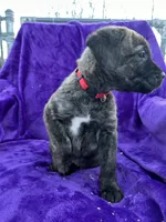 processed/2ad38cdb-4ebf-49ae-a91b-8cb7b95ef91a/listing/47e73c84-ef76-4101-9e22-802186f0d186/936d731e-091e-4866-b4f1-27b7fb1481ca