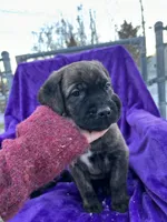 processed/2ad38cdb-4ebf-49ae-a91b-8cb7b95ef91a/listing/47e73c84-ef76-4101-9e22-802186f0d186/aa6fe677-a2d7-4833-98c1-d3c94672b7f9