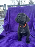 processed/2ad38cdb-4ebf-49ae-a91b-8cb7b95ef91a/listing/640e7c91-8831-4371-b11a-88d8553f8f5d/a23941f6-e8cf-418a-8ce1-bcbada2fe36b