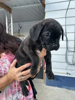 processed/2ad38cdb-4ebf-49ae-a91b-8cb7b95ef91a/listing/640e7c91-8831-4371-b11a-88d8553f8f5d/ce538c2b-b259-4c67-8c37-cb1608f058cc