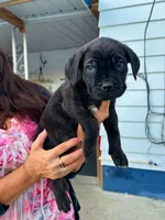 processed/2ad38cdb-4ebf-49ae-a91b-8cb7b95ef91a/listing/640e7c91-8831-4371-b11a-88d8553f8f5d/fa7f973d-bb6e-42c7-ad8e-2f3d31fd1bdc