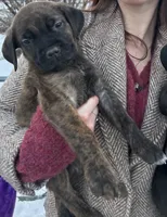 processed/2ad38cdb-4ebf-49ae-a91b-8cb7b95ef91a/listing/6424ed95-1f72-4171-be69-dbc28710c292/58768c7b-4755-47a7-9a65-f0ee7beb8236