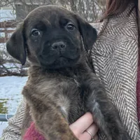 processed/2ad38cdb-4ebf-49ae-a91b-8cb7b95ef91a/listing/6424ed95-1f72-4171-be69-dbc28710c292/960b9e78-a21e-4ddf-83f5-9e388760dc7e