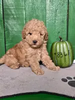 processed/2ad413f6-cfee-4599-afab-03bc1584eb02/listing/139b7213-ac92-4bed-8b0a-4793e8039e55/1ba82261-4c57-493c-966f-7d769ac04750