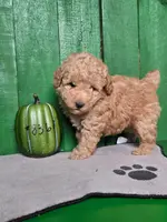 processed/2ad413f6-cfee-4599-afab-03bc1584eb02/listing/139b7213-ac92-4bed-8b0a-4793e8039e55/fc25304a-9201-48d3-9ebc-2c5fc7f89b0f