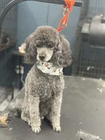 Facility photo