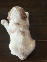 Milo, a male Cavapoo for sale in Lawrenceburg, TN – Photo 8 of 10