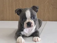 processed/2aeff7ce-7b32-4114-9604-c81d8e3c3561/listing/08f89653-f2b3-49ab-8025-6827497359d9/04846387-5b34-440b-a71c-80c0dd5bb29d