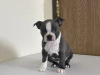 processed/2aeff7ce-7b32-4114-9604-c81d8e3c3561/listing/08f89653-f2b3-49ab-8025-6827497359d9/0f29d510-cffb-4a3d-bd53-32cc21aecc43