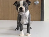 processed/2aeff7ce-7b32-4114-9604-c81d8e3c3561/listing/08f89653-f2b3-49ab-8025-6827497359d9/71d823ef-3409-4477-bcea-2e55ee296bc9