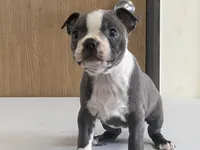 processed/2aeff7ce-7b32-4114-9604-c81d8e3c3561/listing/08f89653-f2b3-49ab-8025-6827497359d9/72defb7b-a7c1-45f4-9741-9d360fe0ae4e