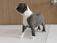 processed/2aeff7ce-7b32-4114-9604-c81d8e3c3561/listing/08f89653-f2b3-49ab-8025-6827497359d9/827566b5-9232-4ea0-b17f-6a367eb2f90b