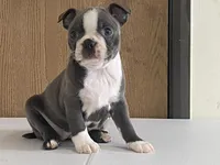 processed/2aeff7ce-7b32-4114-9604-c81d8e3c3561/listing/08f89653-f2b3-49ab-8025-6827497359d9/a5c91dae-4c5a-4bbc-b7ea-01b7ff6b3db0