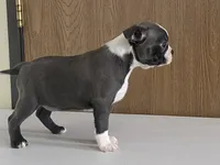 processed/2aeff7ce-7b32-4114-9604-c81d8e3c3561/listing/08f89653-f2b3-49ab-8025-6827497359d9/c936b3bd-c781-4068-b648-bf0d044073f7